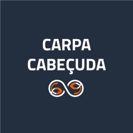 Carpa Cabeçuda (0)