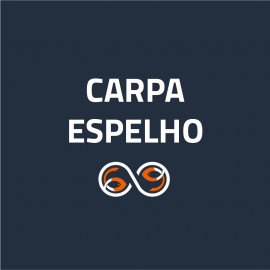 Carpa Espelho (0)