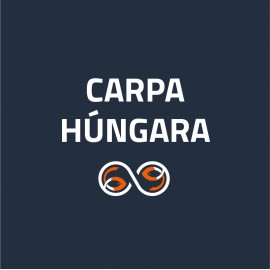 Carpa Húngara (0)