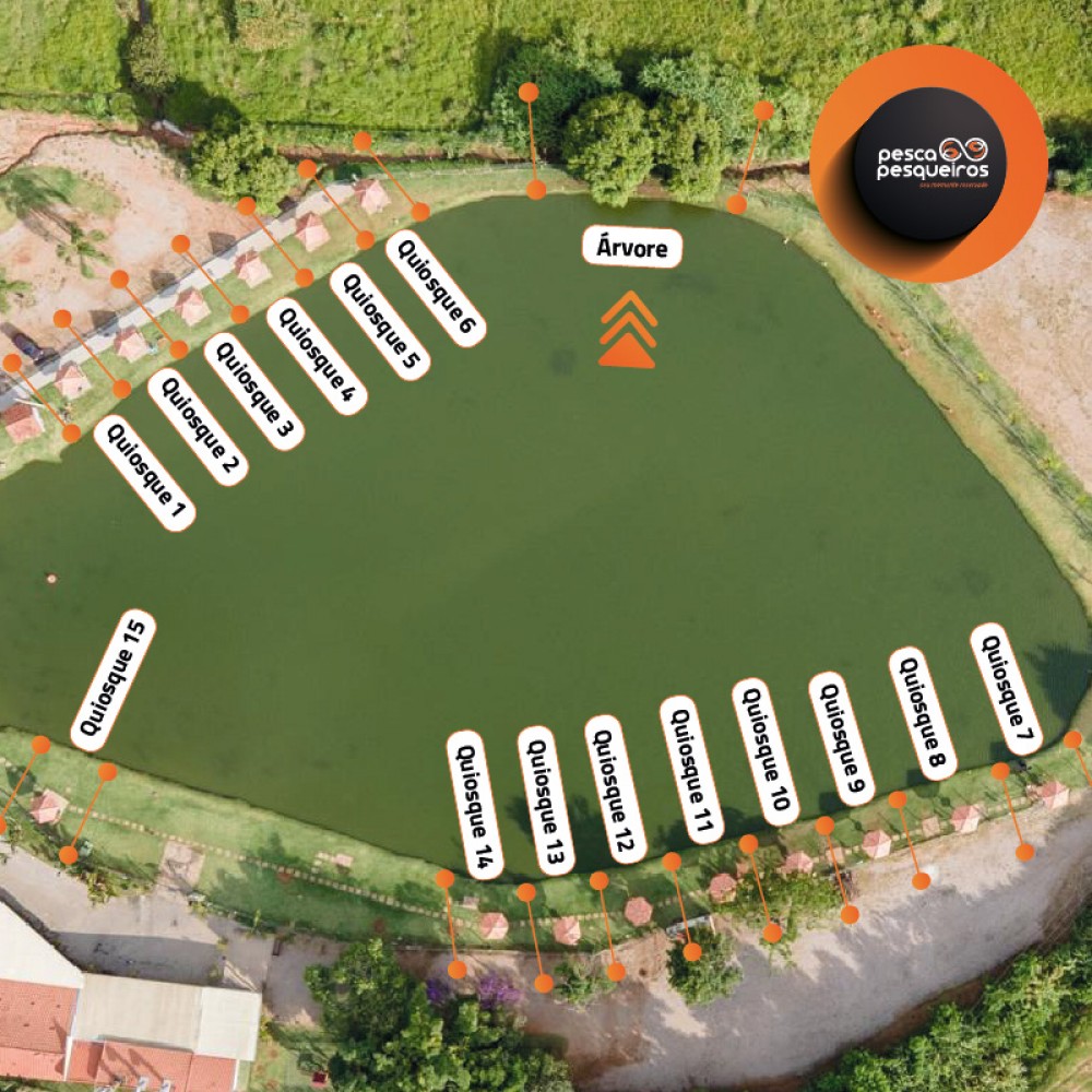 Árvore, para 1 PESSOA, no quinta do aveiro Árvore, para 1 PESSOA, no quinta do aveiro