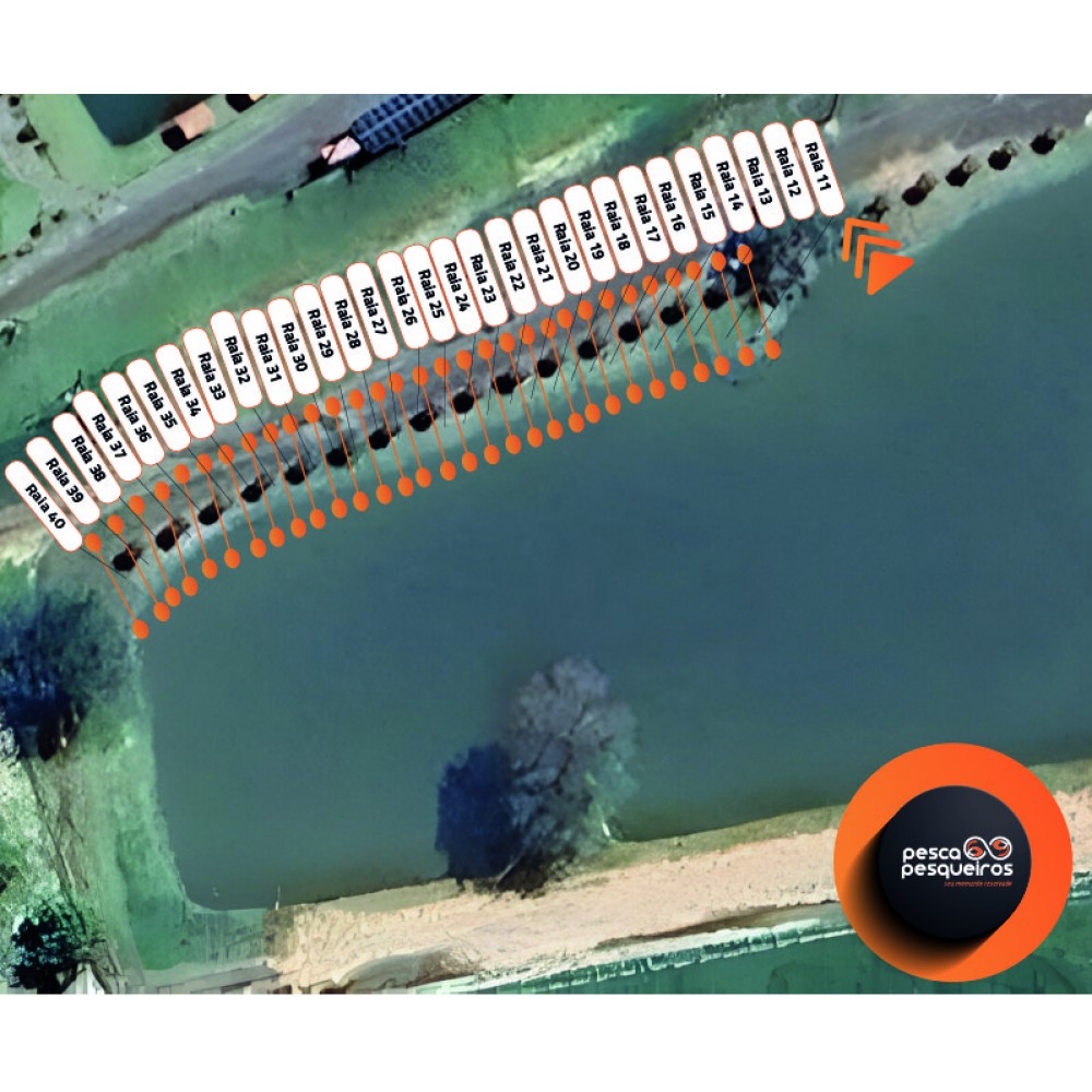 Raia 11 para 1 PESSOA